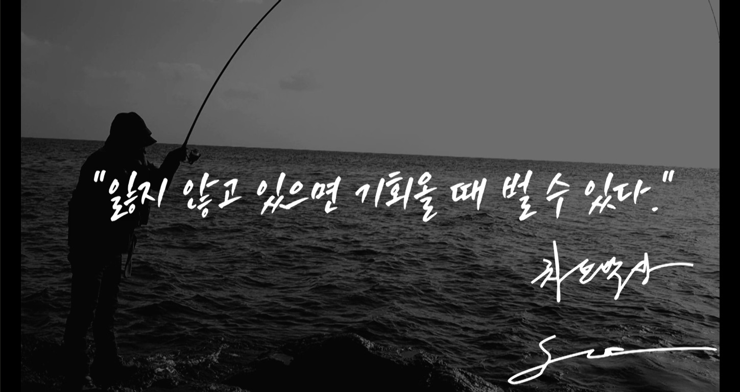 차트박사 프로필